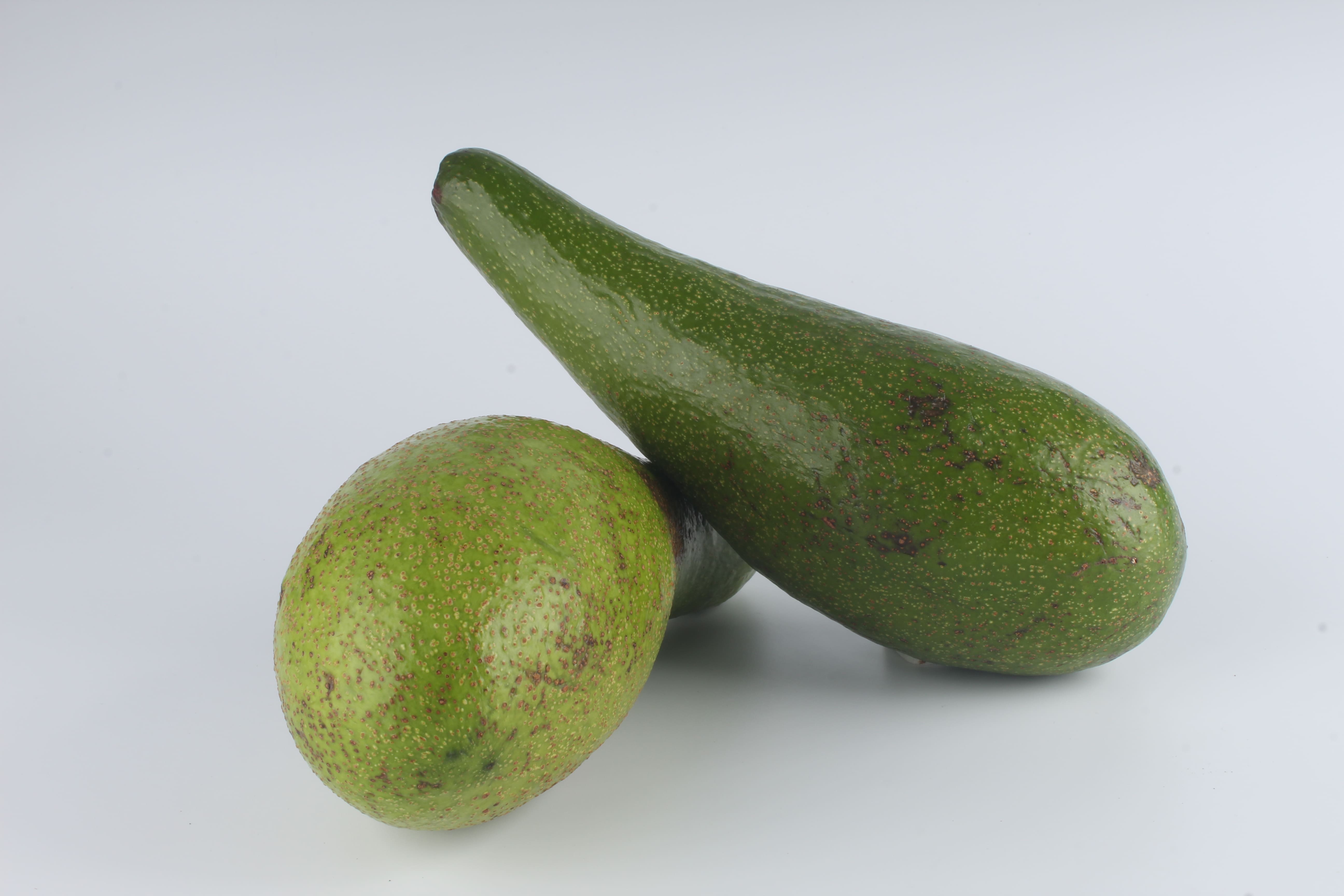 UNIDAD CAMPESINA SANTANDER - ASUCASAN