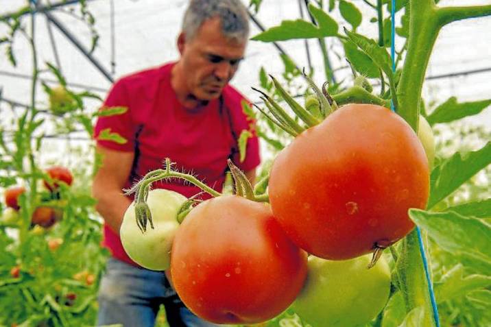 Darán detalles para estar en Compra Rural Santander