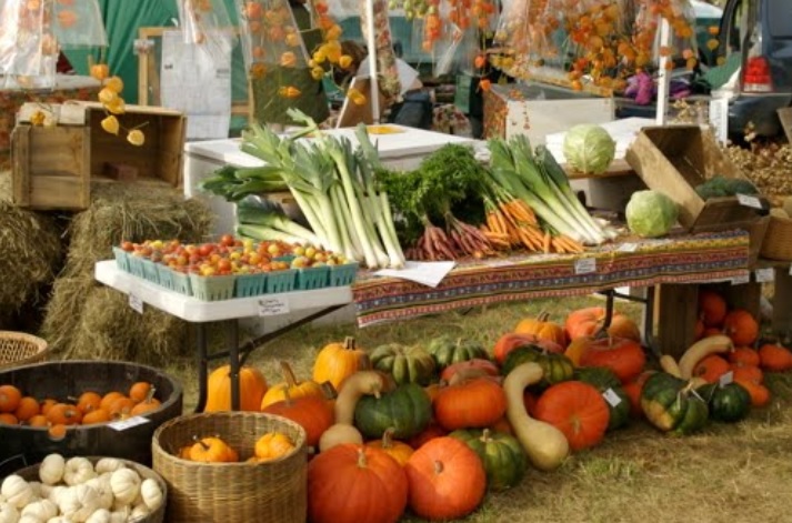 COMPRA RURAL SANTANDER LLEGÓ A BARBOSA